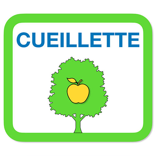 Cueillette