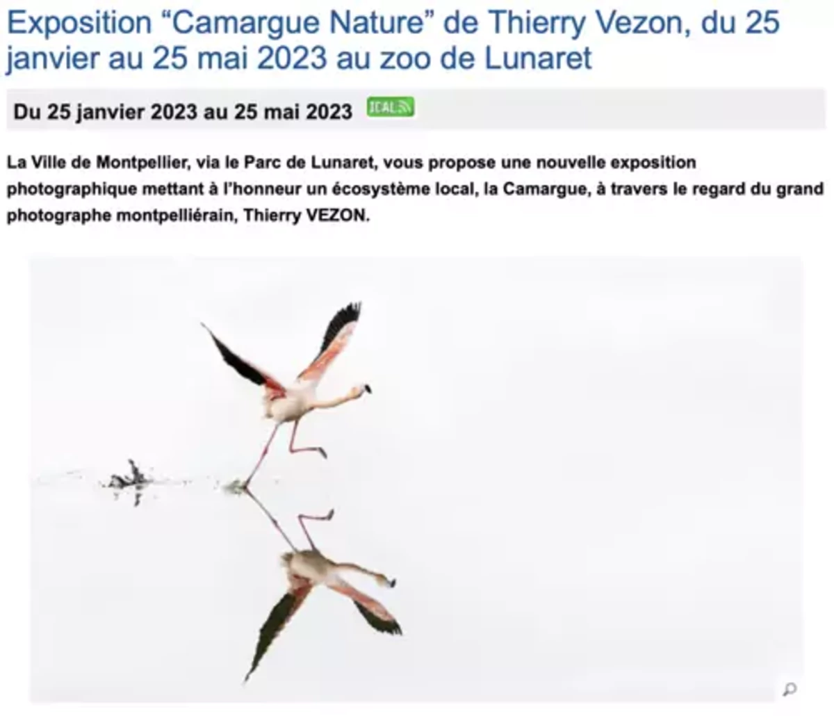 Capture d’écran 2023-03-25 à 01.30.18.png