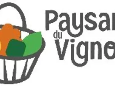 logo pdv1.webp